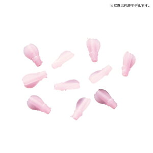 ޕҁ@TobNIol@S@NAsN@yދ@ނz