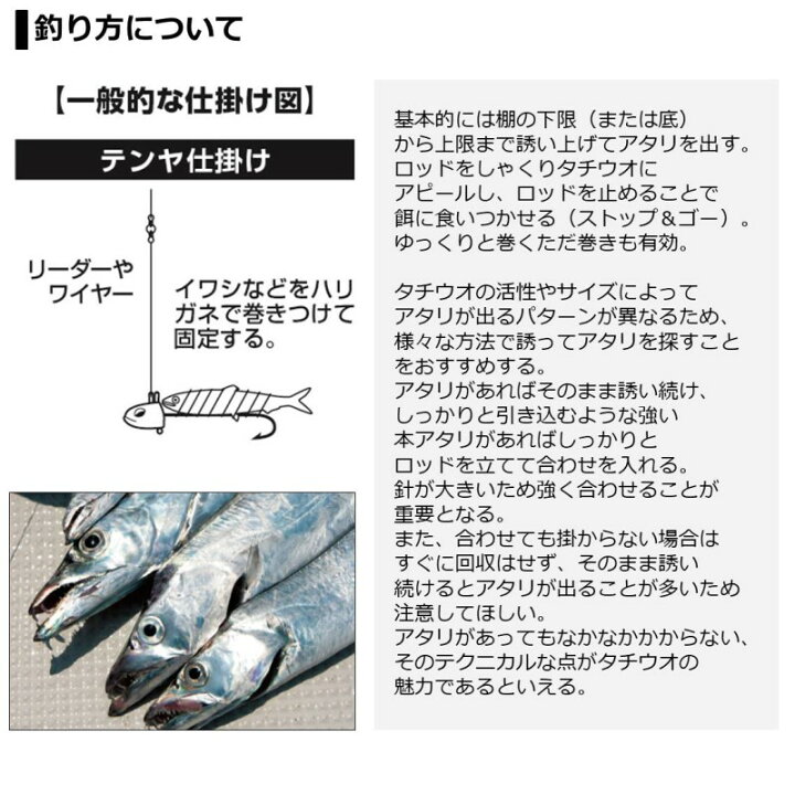 楽天市場】ダイワ(Daiwa) テンヤタチウオ X 200・R / 太刀魚 テンヤ 船 