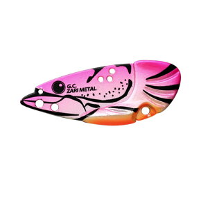 ꐽ@G.C. U^ 12g@#22 RbgLfB@12g