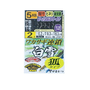 ܂@JTMA  σ^Cv 5{d|@W232 2-0.2