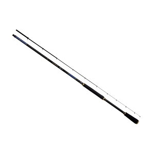 FV@INGRAM  CIM 00 5406@yދ@ނz