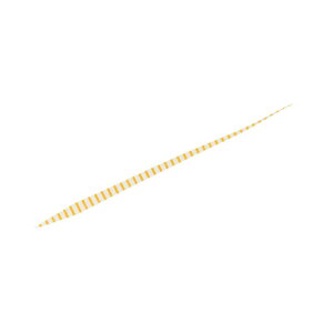 _C(Daiwa)@g VRlN^C Xg[g PC[uIW@yދ@ނz