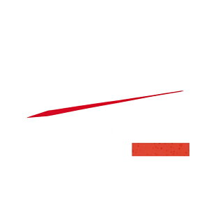 _C(Daiwa)@g VRlN^C STR ˊIW@@yދ@ނz