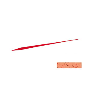 _C(Daiwa)@g VRlN^C STR A~@@yދ@ނz