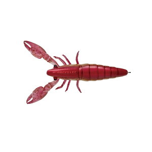 W[Ntg@TACO-EBI ՂՂ^RGr #006 ԃGr KIN AKA EBI@yދ@ނz