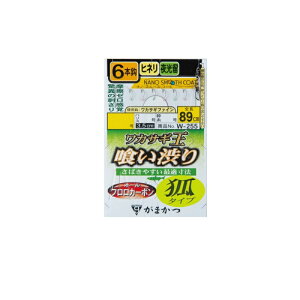 ܂@W255 JTMd| 򂢏a 6{d| σ^Cv 1-0.25 NSC