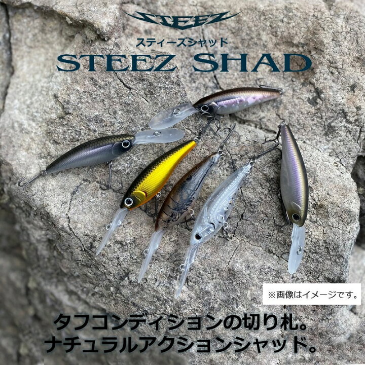 楽天市場 ダイワ Daiwa スティーズシャッド54sp Sr そそるワカサギ 釣具 釣り具 釣具のfto 楽天市場 ダイワ Daiwa スティーズシャッド54sp Sr そそるワカサギ 釣具 釣り具 釣具のfto