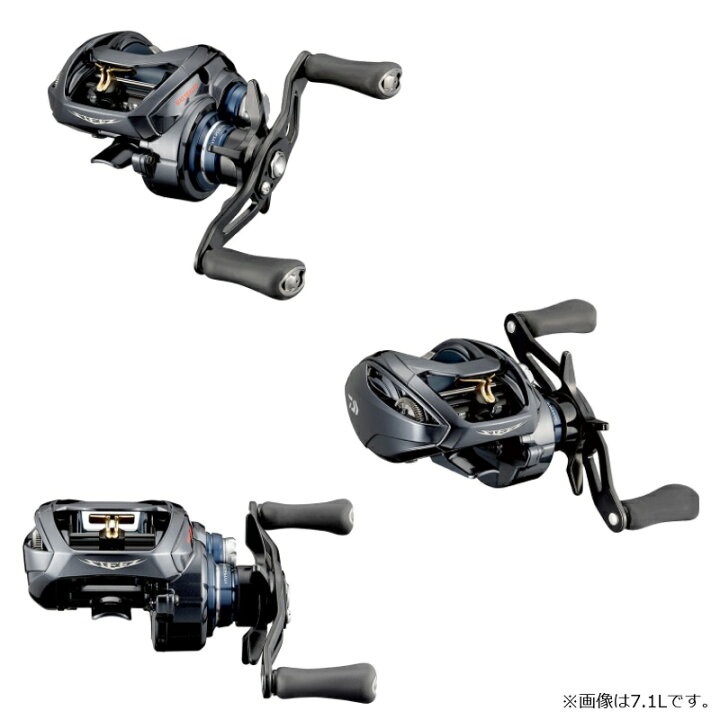 楽天市場】ダイワ スティーズ A TW HLC 8.1L / ベイトリール 左巻き : 釣具のFTO
