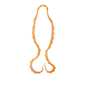 ܂@ 3D \tglN^C #01 PCIW@yދ@ނz