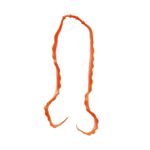 ܂@ 3D \tglN^C #02 IWS[h@yދ@ނz