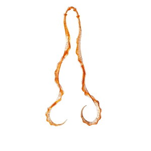 ܂@ 3D \tglN^C #05 R[@yދ@ނz