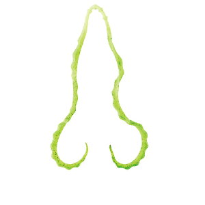 ܂@ 3D \tglN^C #08 CO[/S[ht[N@yދ@ނz