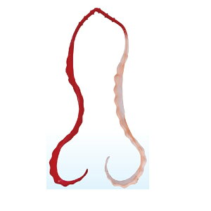 ܂@ 3D \tglN^C #22 \bhbh/PCIW@yދ@ނz