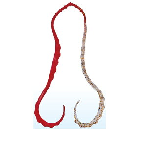 ܂@ 3D \tglN^C #23 \bhbh/NAS[h@yދ@ނz