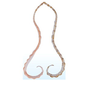 ܂@ 3D \tglN^C #24 PCIW/NAS[h@yދ@ނz