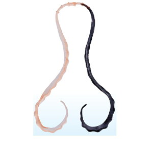 ܂@ 3D \tglN^C #26 PCIW/ubN@yދ@ނz