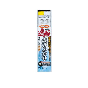 ܂@HF110 JStJZ2{ 2-2 