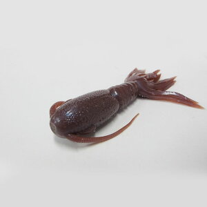 VOi@MB-11 }o 4C` 11 ~~Y@yދ@ނz