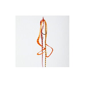 ܂@OGN037  }`J[[lN^Cjbg #6 [u[u@yދ@ނz