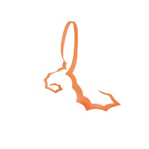 ܂@ VRlN^C XpCL[J[[ #5 IW@yދ@ނz