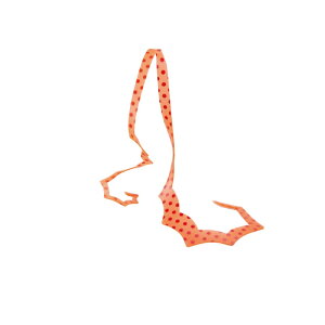 ܂@ VRlN^C XpCL[J[[ #33 bhX|bg/IW@yދ@ނz