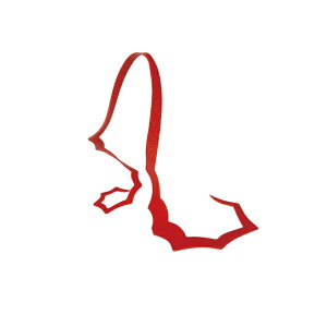 ܂@ VRlN^C XpCL[J[[ #48 \bhIWS[ht[N@yދ@ނz