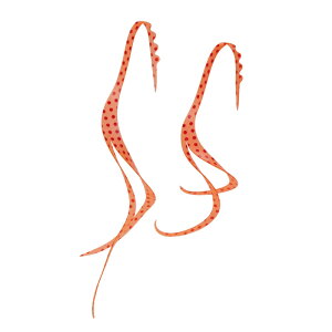 ܂@ VRlN^C XbgJ[[ #33 bhX|bg/IW@yދ@ނz