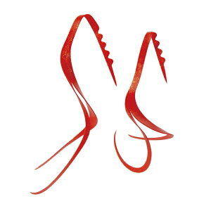 ܂@ VRlN^C XbgJ[[ #48 \bhIWS[ht[N@yދ@ނz