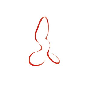 ܂@ VRlN^C (ɍ׃V[gJ[[) #48 \bhIWS[ht[N@yދ@ނz