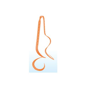 ܂@ VRlN^C (؂}`J[[) #51 IWS[hX|bg@yދ@ނz