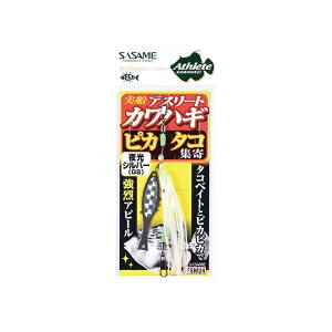 TT@FSM24 DJnM sJ^RW GS Vo[@yދ@ނz