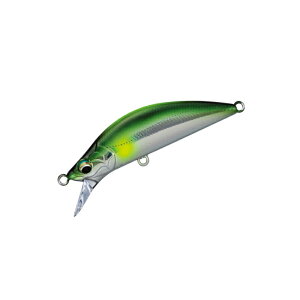 W[Ntg@EDN-45SS t@Ce[EGf45SS #008 `[g}[J[A