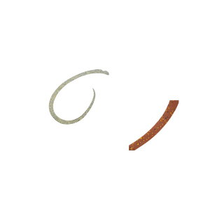 W[Ntg@TMN-S bhobN JX^lN^C VOJ[[ #004 R[