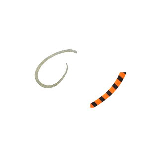 W[Ntg@TMN-S bhobN JX^lN^C VOJ[[ #005 IW[u