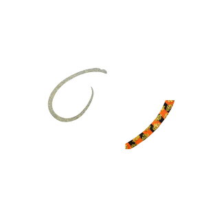 W[Ntg@TMN-S bhobN JX^lN^C VOJ[[ #011 S[fIW