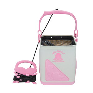 ꐸH@CJI 21cm @yދ@ނz