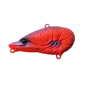 ꐽ@G.C.}CNUoCu 40 #31 bhu[