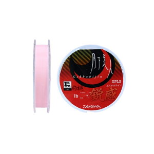 _C(Daiwa)@l TYPE-E(GXe) s 200M  2LB@yދ@ނz