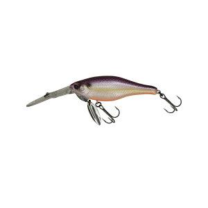 C}Jc@hm[VbhnCsb` }OlbgTGdSړ #731 JChWFV[