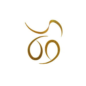 X^[g@KN-15 VRlN^CJ[[ #15 O[XP[@yދ@ނz