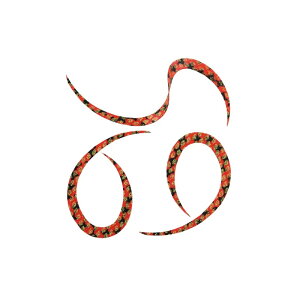 X^[g@KN-23 VRlN^CJ[[ #23 bh[u@yދ@ނz