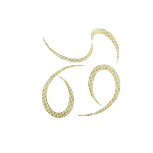 X^[g@KN-25 VRlN^CJ[[ #25 S[hSK@yދ@ނz