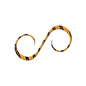 CV@C_VRlN^C WGV[gJ[[ V}V}GrIW