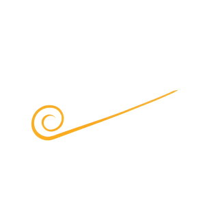 nuT@SE164 JX^VRlN^C XpCJ[[X 1 uCgIW@yދ@ނz