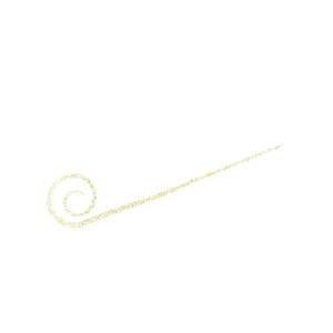 nuT@SE164 JX^VRlN^C XpCJ[[X 4 ߂S[h@yދ@ނz