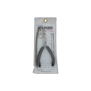 �X�~�X�@Pi FS�v���C���[ FP551