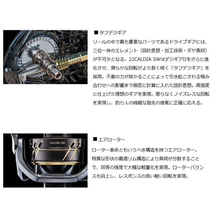 楽天市場】ダイワ 23カルディアSW 10000-P : 釣具のFTO