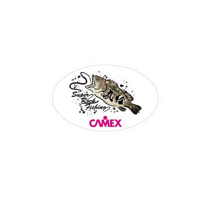 ޕҁ@X07202 CAMEX NGXebJ[ S zCg