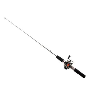 GCebN@BID JTMZbg p 65