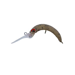 @PC@N[K fBV SS C223 ɏ㗱